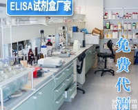 兔主要组织相容性复合体Ⅰ类<em>试剂盒</em><em>要求</em>