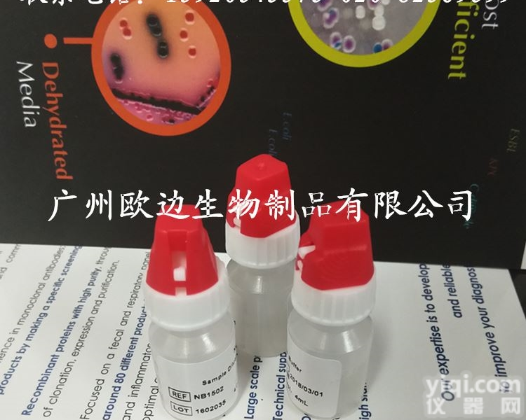 ALK/p80间变性<em>淋巴瘤</em><em>激酶</em>（鼠<em>单克隆</em>抗体）4