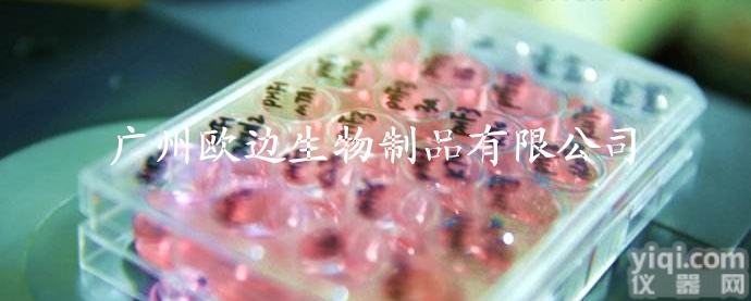 <em>狂犬</em><em>病毒</em>  <em>狂犬</em>病<em>病毒</em>抗体检测试剂