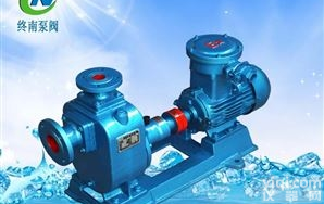 200ZW280-28<em>自吸泵</em>  ZWB自吸式<em>防爆</em>排污泵