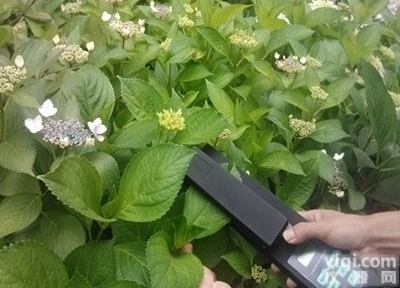 YMJ-A<em>活体</em>叶面测定仪 <em>叶片</em>面积<em>测量仪</em>