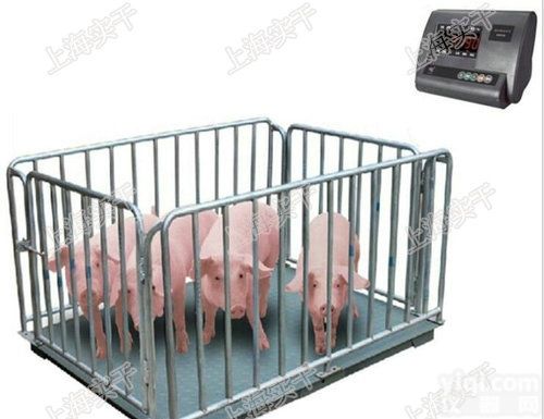 牲畜地磅秤  2T移动带笼<em>电子秤</em>_2000公斤便携<em>围栏</em>电子称