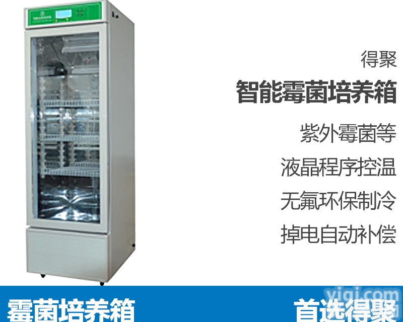 DJMJX  霉菌<em>培养箱</em>微生物培养孵化植物<em>动物</em>恒温箱