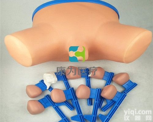 SG7158  “康为YL”<em>前列腺</em>病变演示<em>模型</em>