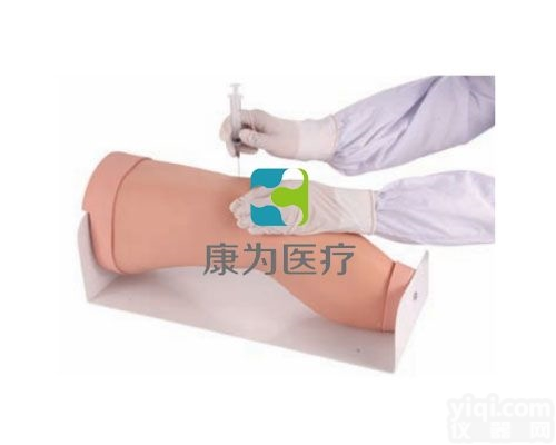 SG7176  “康为YL”电子<em>膝关节</em>腔内注射<em>模型</em>