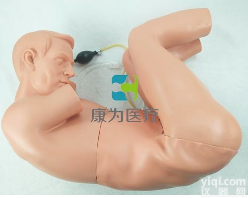 IM8153  迈克尔<em>腰椎穿刺仿真标准化病人</em>