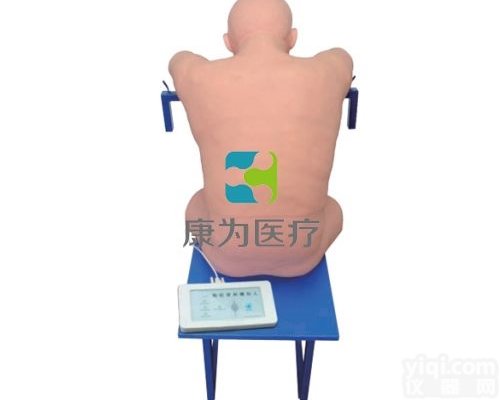 IM8154  成人胸腔<em>穿刺</em>与<em>腰椎</em><em>穿刺</em>标准化模拟病人