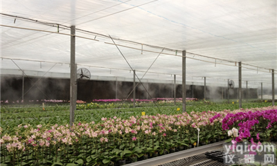 <em>温室大棚</em><em>花卉</em>苗圃<em>种植</em>人造雾喷雾加湿设备