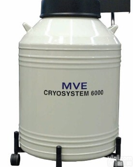 CryoSystem 6000  <em>美国</em><em>查特</em>MVE<em>液氮</em>罐CryoSystem 6000