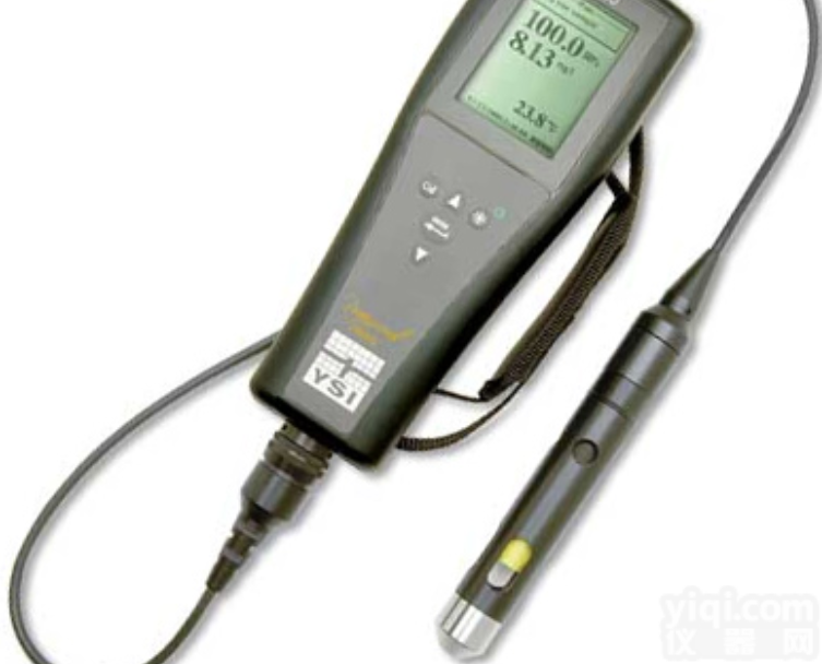 美国YSI <em>Pro20型 溶解氧测量仪</em>