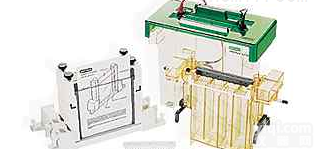 <em>PROTEAN</em> II xi  伯乐 <em>PROTEAN</em> II xi/XL大型垂直电泳槽