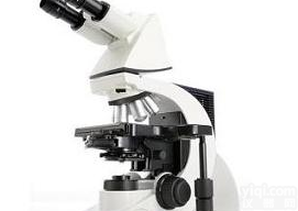 <em>DM2000  徕卡生物显微镜</em>