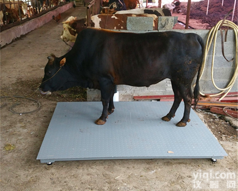 DH-108  贵州动物<em>称重</em>平<em>台秤</em>-猪牛羊<em>称重</em>小<em>地磅</em>