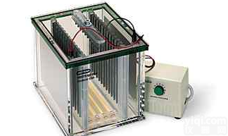 <em>PROTEAN</em> Plus Dodeca  伯乐<em>PROTEAN</em> Plus Dodeca 高通量垂直电泳槽