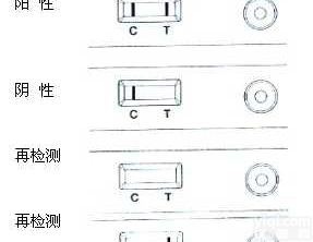 美国<em>novabios</em>  <em>违禁品</em>粉末多项检测试剂插卡