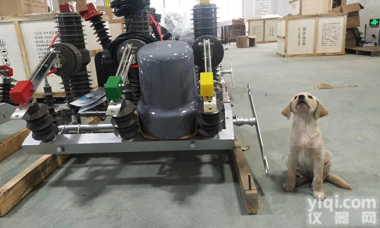 ZW32-12FG/<em>630</em>  <em>畅销</em>款ZW32-12FG/<em>630</em>智能看门狗