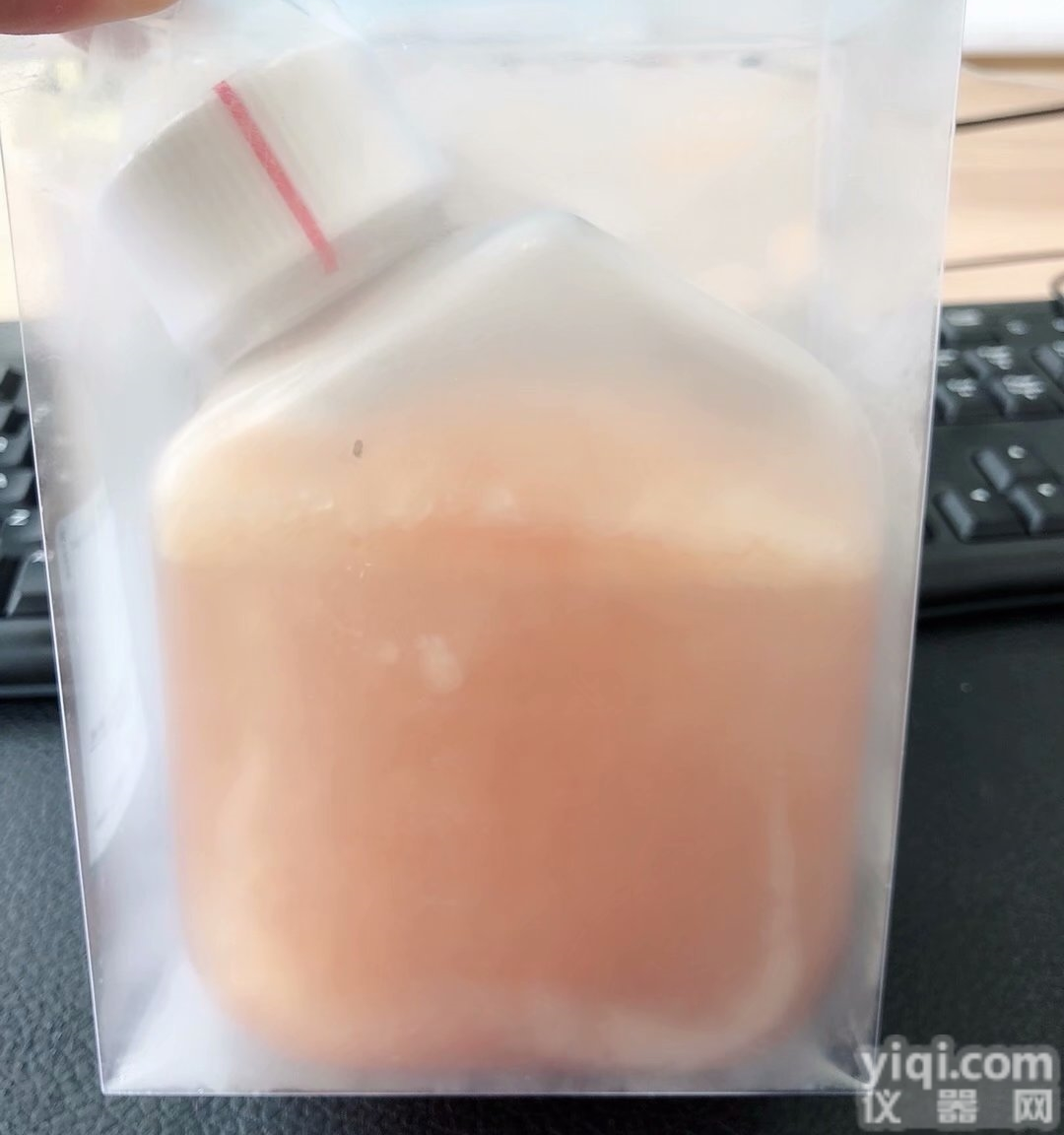 16000-044  Gibco<em>血清</em> 16000-044北美<em>特级</em>500ml