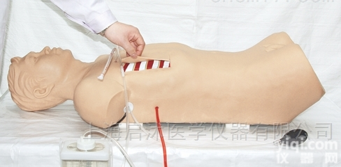 QS/CK818  胸腔闭式引流术电子标准化病人，胸腔<em>穿刺</em>训练模型
