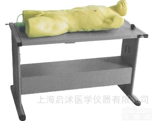 QS/CK819  肝脓肿<em>穿刺</em>与胸腔<em>穿刺</em><em>训练</em><em>模型</em>，综合<em>穿刺</em><em>模型</em>