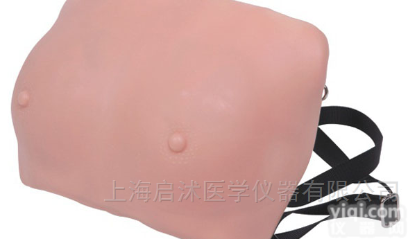 QS/F7A  高级<em>乳房</em>检查<em>模型</em> <em>乳房</em>检查<em>模型</em>