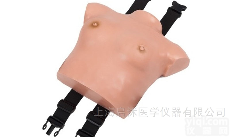 QS/F7C  QS/F7C高级着装式<em>乳房</em>自检<em>模型</em> <em>乳房</em>检查<em>模型</em>