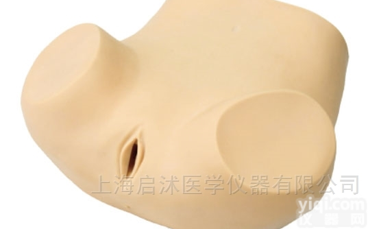 QS/F30P  高级<em>妇科</em><em>训练</em><em>模型</em> <em>妇科</em><em>训练</em><em>模型</em>