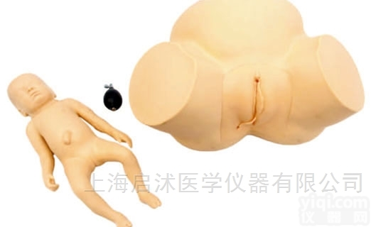 QS/F4  高级<em>难产</em>示教<em>训练</em><em>模型</em> 妇科<em>模型</em>