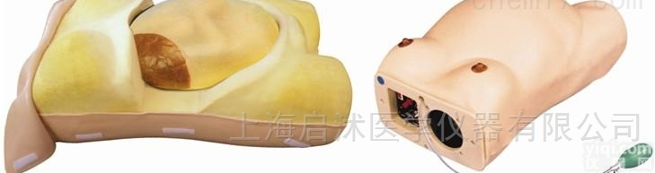 QS/FW2  高级电脑<em>孕妇</em>检查<em>模型</em> <em>孕妇</em>检查<em>模型</em>