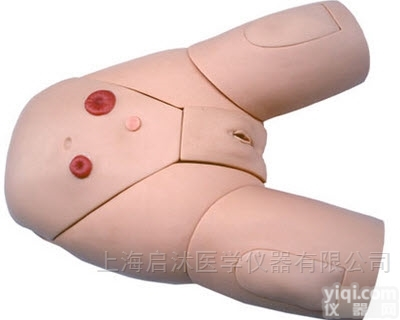QS/H17F  高级女性<em>导尿</em>模型 <em>导尿</em>教学<em>护理</em>
