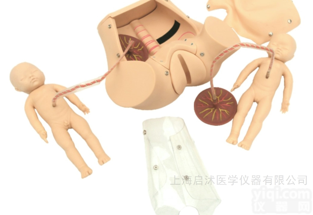 QS/F20  高级<em>分娩</em>综合<em>技能</em>训练<em>模型</em> <em>分娩</em>护理人