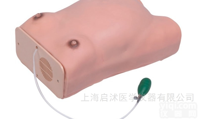 QS/FW1  高级<em>孕妇</em><em>检查</em><em>模型</em> <em>孕妇</em><em>检查</em>模拟人