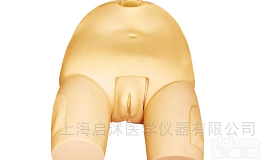 QS/H29F  高级女性<em>膀胱</em>穿刺<em>模型</em> <em>膀胱</em>穿刺<em>模型</em>