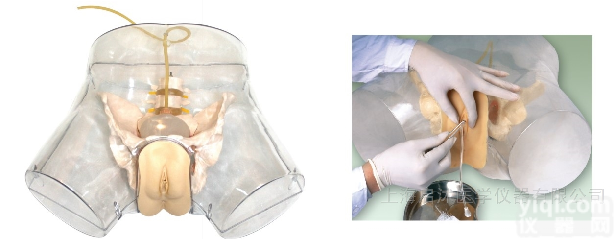 QS/H16F  透明女性<em>导尿</em><em>模型</em> <em>导尿</em>训练<em>模型</em>