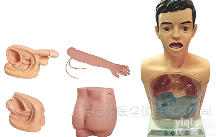 QS/H7  QS/H7新型基础护理<em>模型</em> 护理五<em>部件</em>