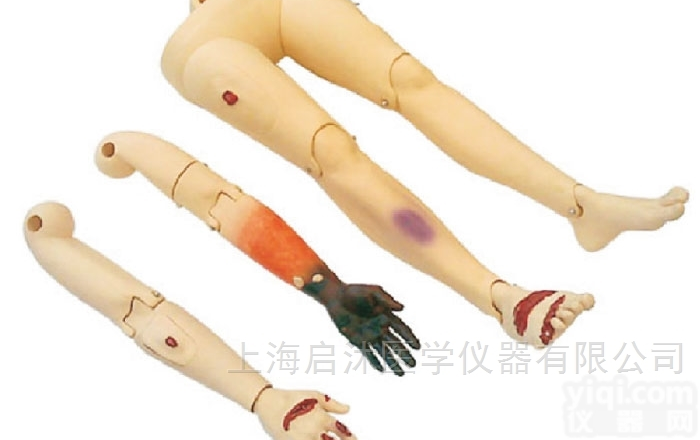 QS/J110-4  高级<em>创伤</em><em>四肢</em><em>模型</em>
