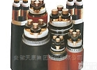 <em>天康</em>聚乙烯<em>绝缘</em>及护套电力电缆