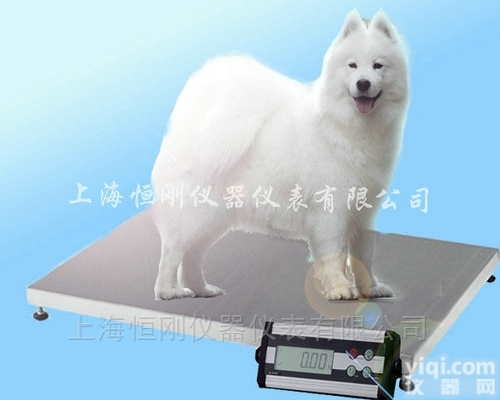 宠物<em>动物</em>畜牧地<em>磅秤</em> 称<em>动物</em>电子秤