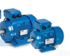 西班牙<em>CEMER</em>单向<em>电机</em>