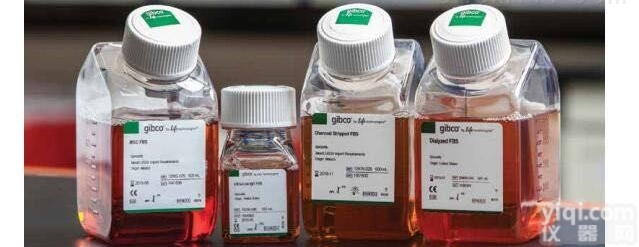 Gibco 16000-044胎牛<em>血清</em>（特级<em>FBS</em>）