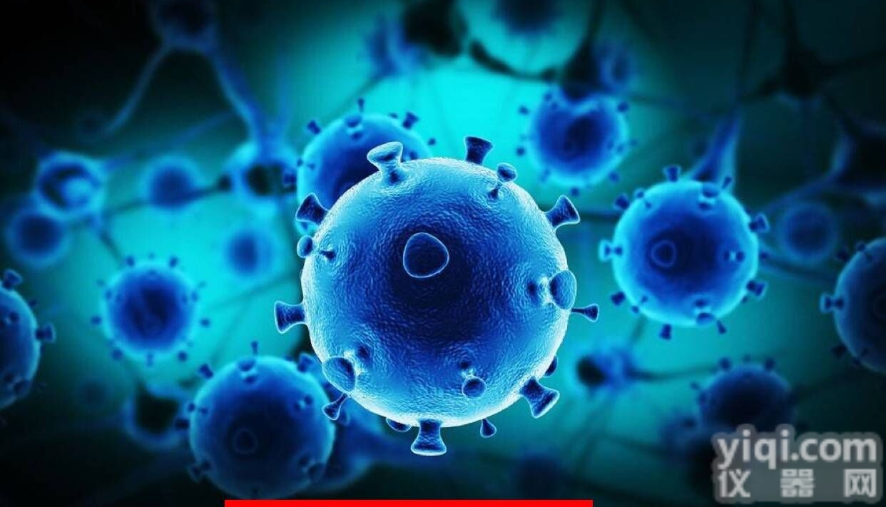 HIT-T15 <em>仓鼠</em>胰岛β<em>细胞</em>  叙利亚<em>仓鼠</em>胰岛β<em>细胞</em>HIT-T15动物<em>细胞</em>