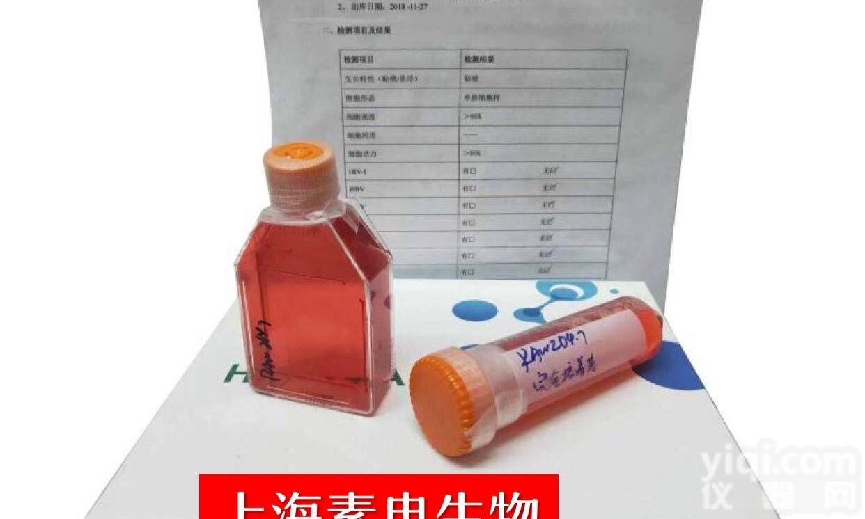 大鼠<em>皮肤</em>成<em>细胞</em>RS1  大鼠<em>皮肤</em>成<em>纤维</em><em>细胞</em>RS1|RS1大鼠动物<em>细胞</em>