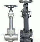 DJ61Y<em>锻钢</em><em>低温</em><em>截止阀</em>
