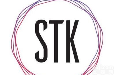 <em>起重量</em><em>限制</em>器STK-NR520T  <em>起重量</em><em>限制</em>器STK-NR520T湖北斯塔克电气