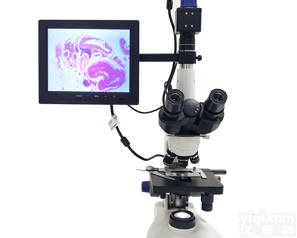 MX-117M  旋毛虫镜检仪 MX-117M<em>显微</em><em>检测仪</em>