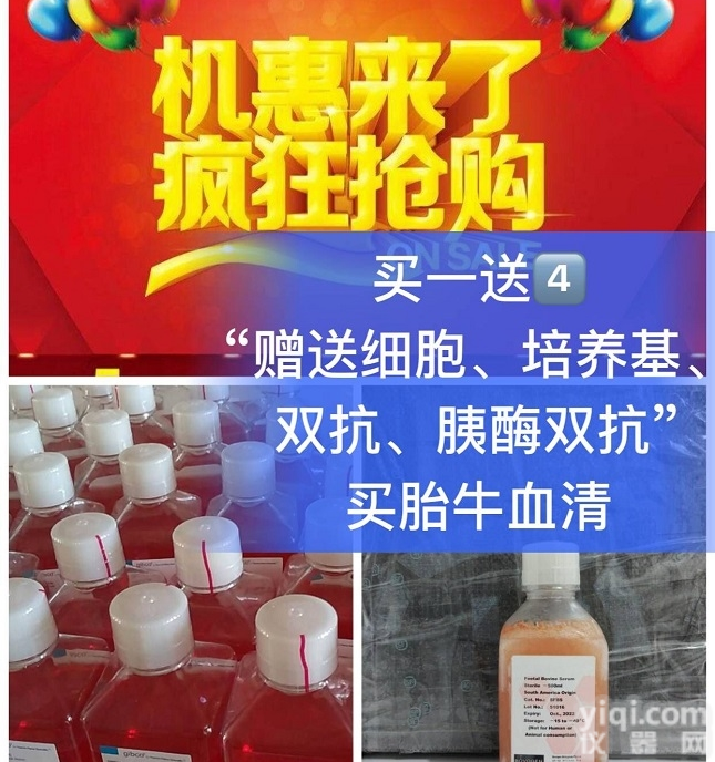 MCF7 人乳腺癌细胞|<em>MCF7细胞</em>