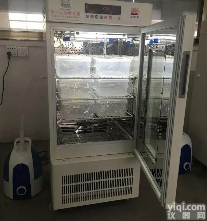 泰宏<em>孵化器</em> FHX-325<em>爬行动物</em>孵化箱