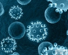 NCI-H3255人肺癌细胞|<em> NCI-H3255细胞</em>