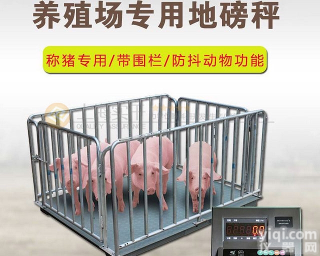 <em>农业户</em>2×3米<em>碳钢</em><em>牲畜</em>秤