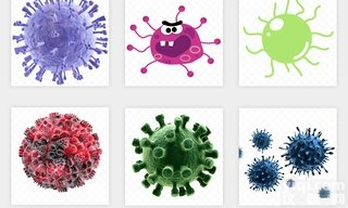 C4-2人前列腺癌细胞|<em>C4-2细胞</em>