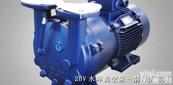 2BV2060  山东沃<em>尔姆</em>2BV水环<em>真空泵</em>
